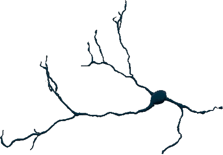 ITD Visualization